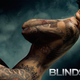 Illustration for article titled What The Fuck Even Is Blindspot? An Explainer From Someone Who Has No Idea